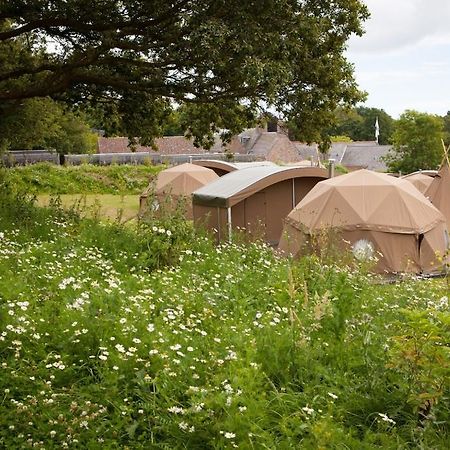 Durrell Wildlife Camp Hotel Trinity Bilik gambar