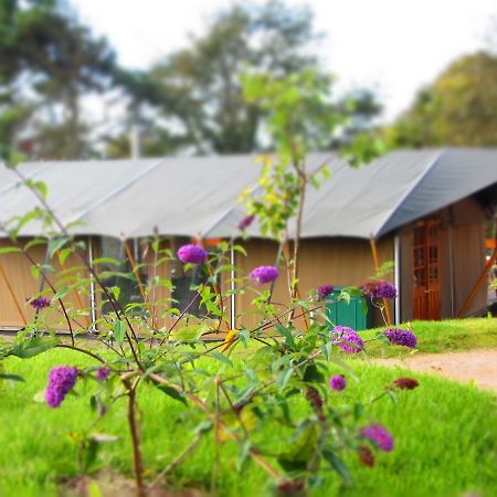 Durrell Wildlife Camp Hotel Trinity Luaran gambar