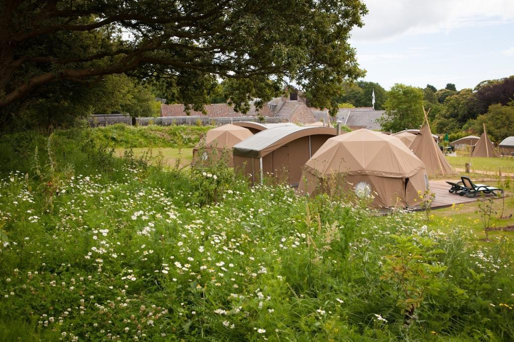 Durrell Wildlife Camp Hotel Trinity Bilik gambar