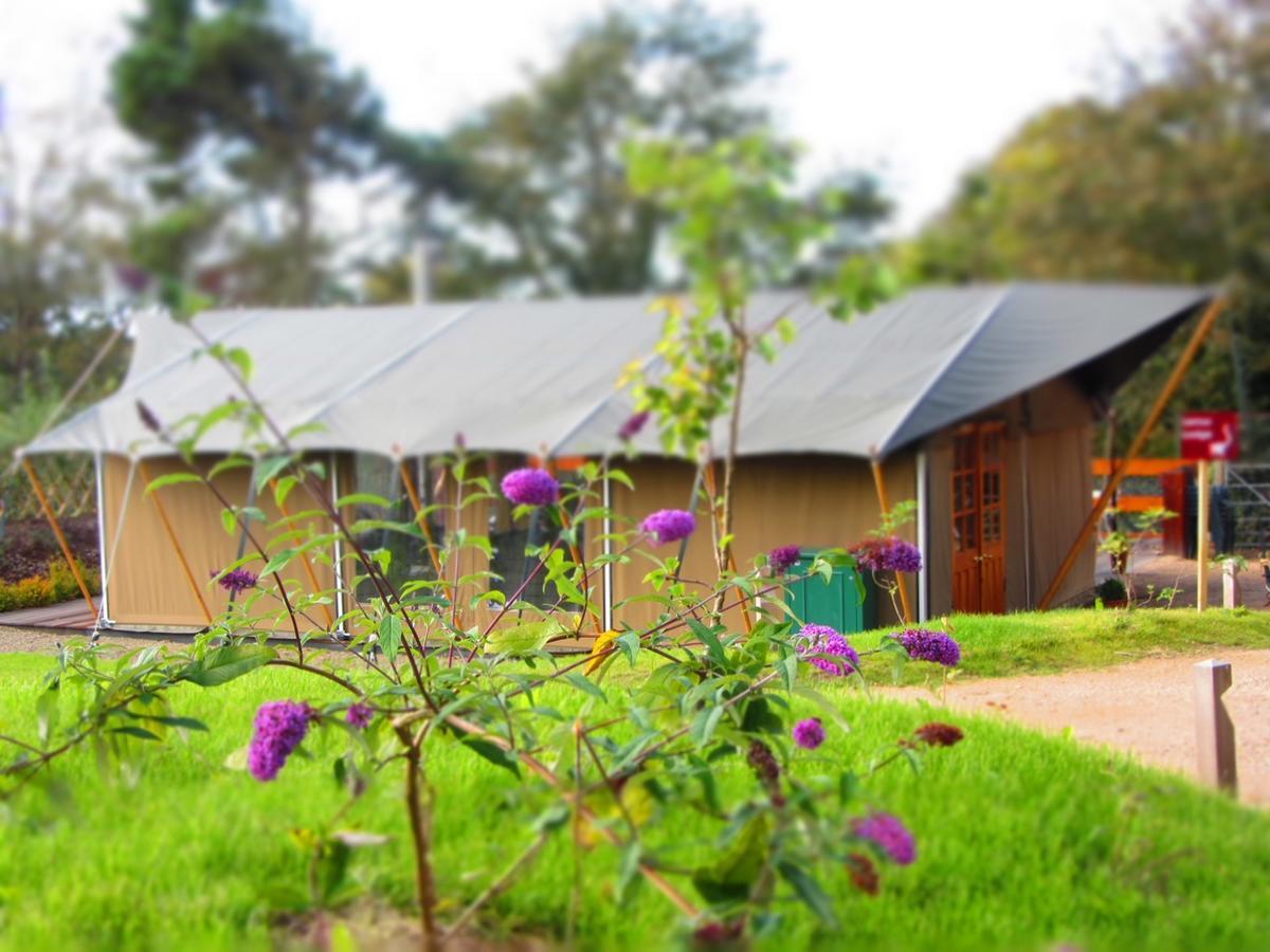 Durrell Wildlife Camp Hotel Trinity Luaran gambar
